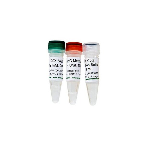 CpG Methylase, M. Sssl, 400 U